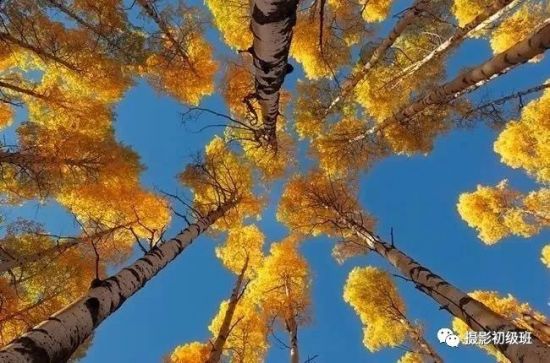 秋天怎麼拍？7個攝影題材，教你拍出秋天的味道-趣讀